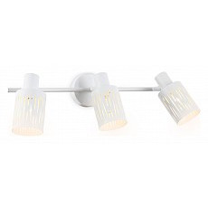 Спот ambrella light tr tr8665
